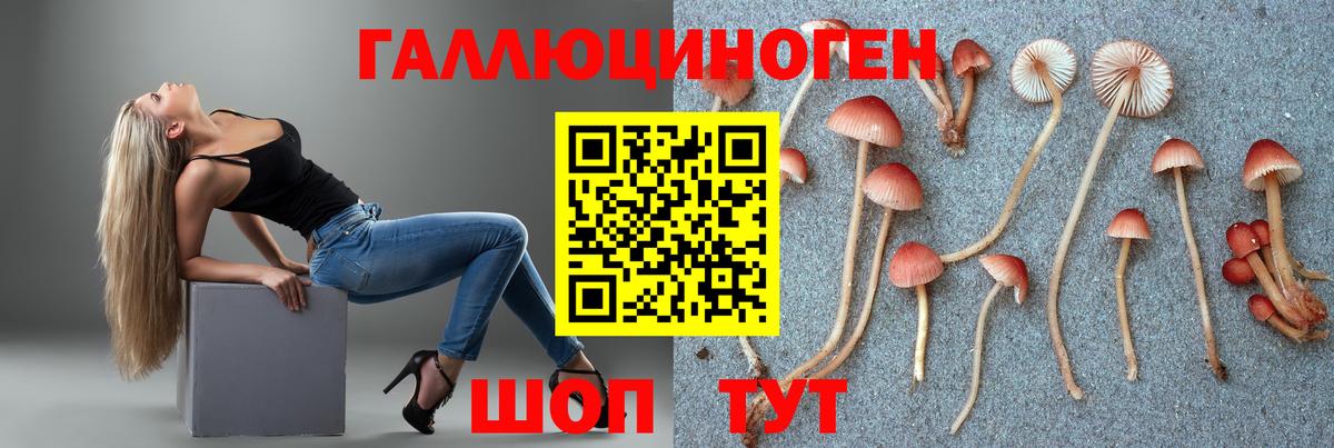 Борзя  Галлюциногенные грибы MAGIC MUSHROOMS  Вход с VPN 