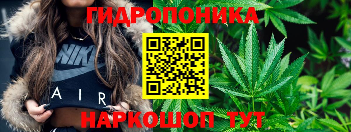 Борзя  Шишки марихуана Bruce Banner  Канабис планчик  Вход с VPN 